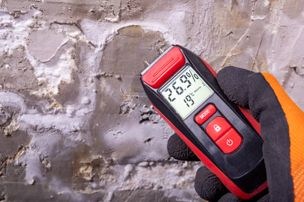 Best Certified Mold Removal  in Bowling Green, MD