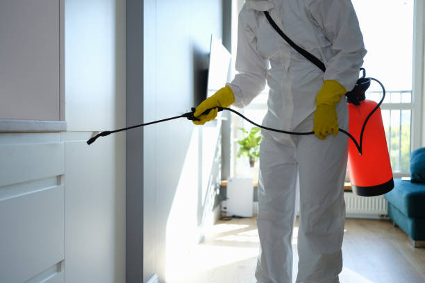 Office Mold Removal Services in Bowling Green, MD